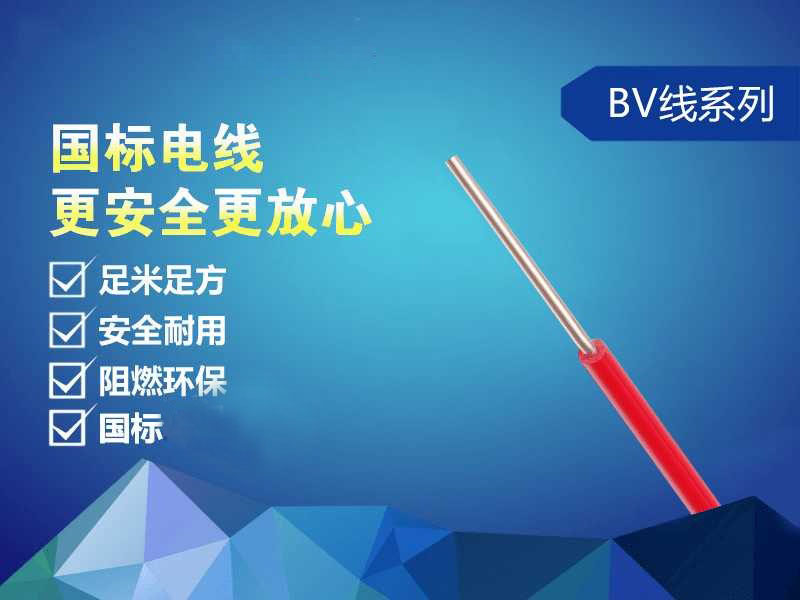 BV单芯铜线(图1)